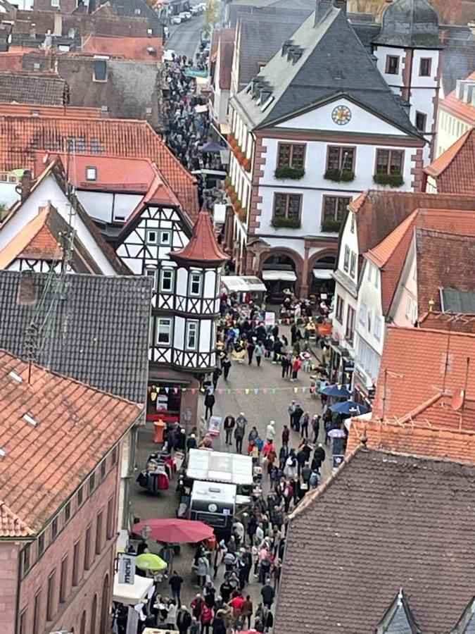Ferienwohnung Im Springerhof Lohr Exteriör bild