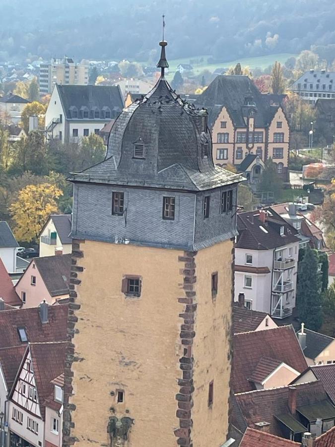 Ferienwohnung Im Springerhof Lohr Exteriör bild